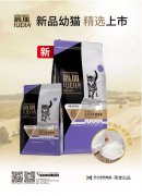 爵加新品幼貓精選上市！