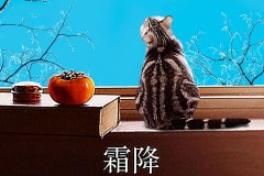 霜降丨縱然霜華盡染，心中美好如初