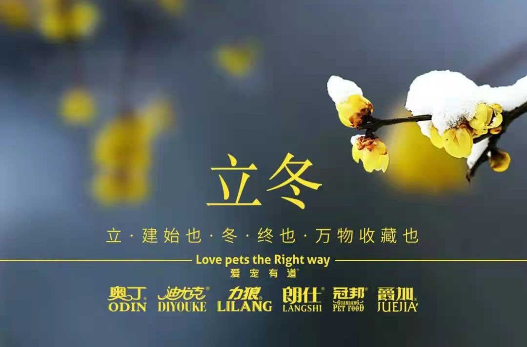 立冬丨冬寒初始，情暖愈濃